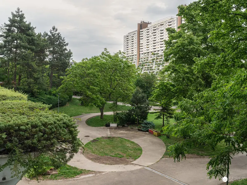 Urban Green Space with Curved Walkways and High-Rise Residential Building