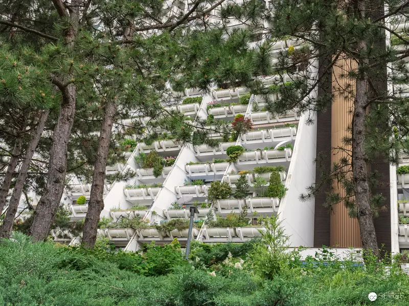 Modern Urban Architecture with Vertical Gardens and Pine Trees