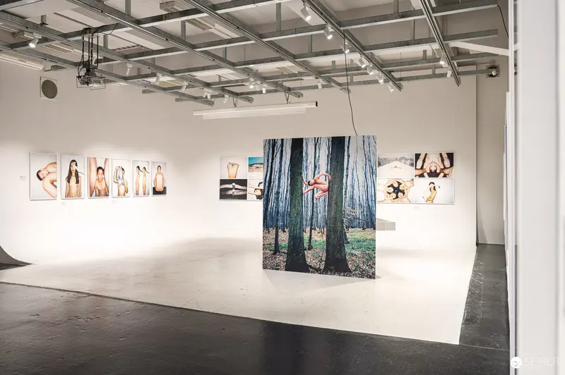 Contemporary Art Exhibition Showcasing Diverse Photographic Portraits and Forest Landscape
