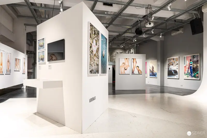 Contemporary Art Gallery Exhibition with Large White Walls and Diverse Photographic Displays