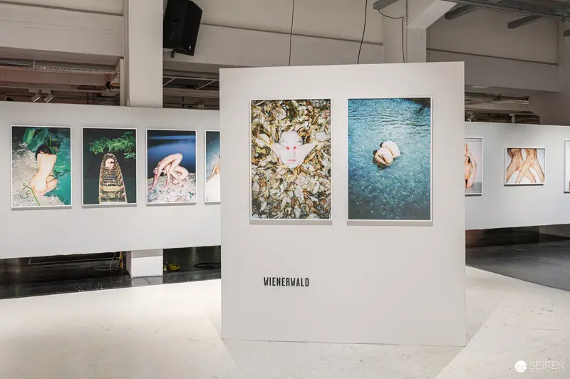 WienerWald Photography Exhibition: Intimate Visual Narratives of Natural and Human Forms