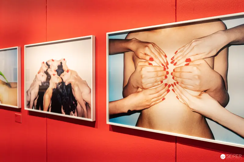 Provocative Art Installation Exploring Body Imagery with Multiple Hands