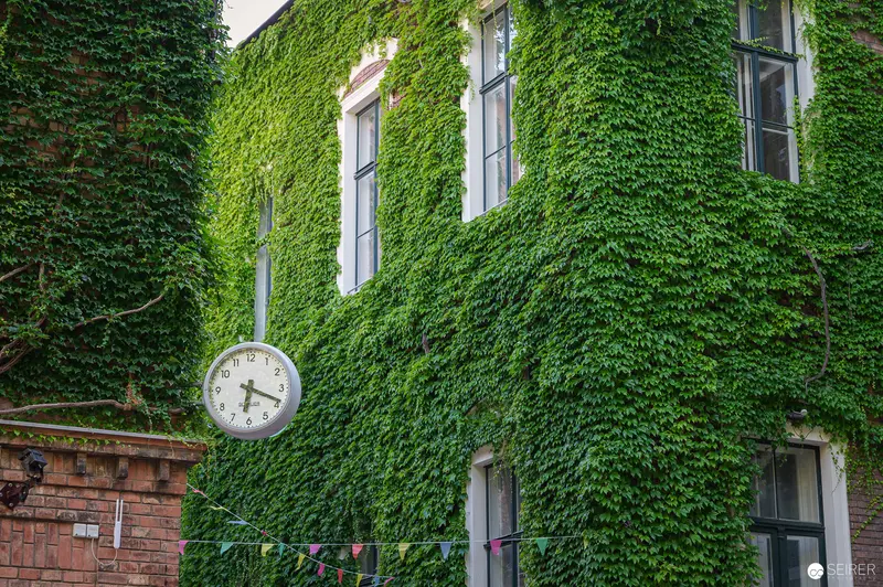 Ivy-Covered Building with Vintage Clock at WUK Cultural Center, Vienna