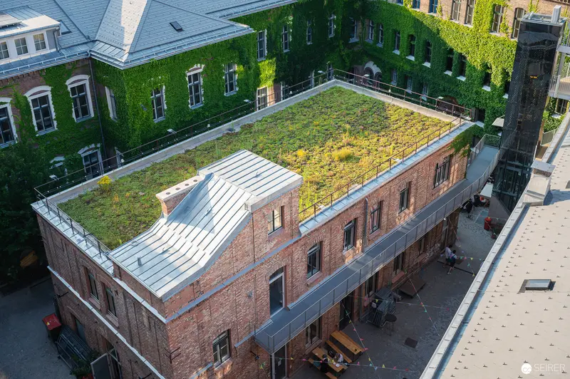 Green Roof Urban Architecture: Brick Building with Vegetated Rooftop in Vienna