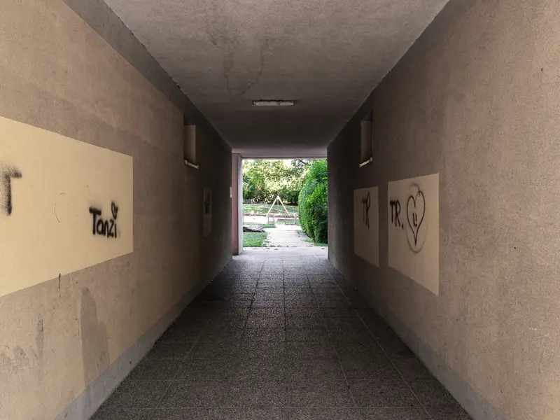 Urban Passageway with Graffiti Leading to Sunlit Garden Pathway