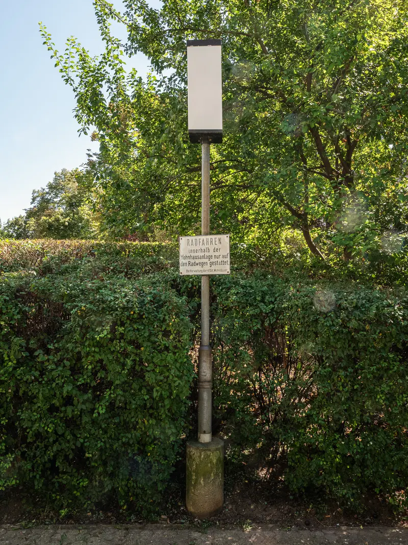 Street Lamp and Informational Sign in Overgrown Urban Green Space