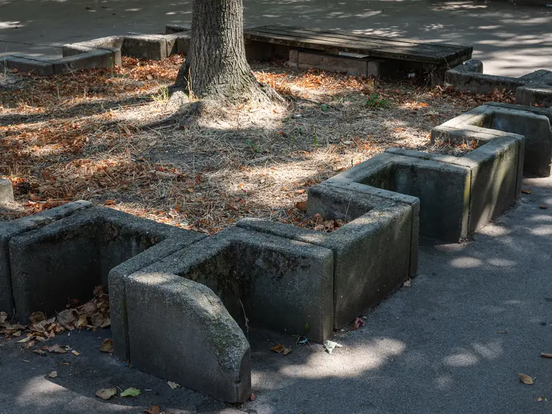 Concrete Memorial Blocks Surrounding Tree in Urban Landscape