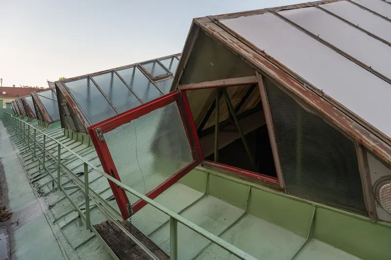 Modern Architectural Design with Angled Green and Red Windows