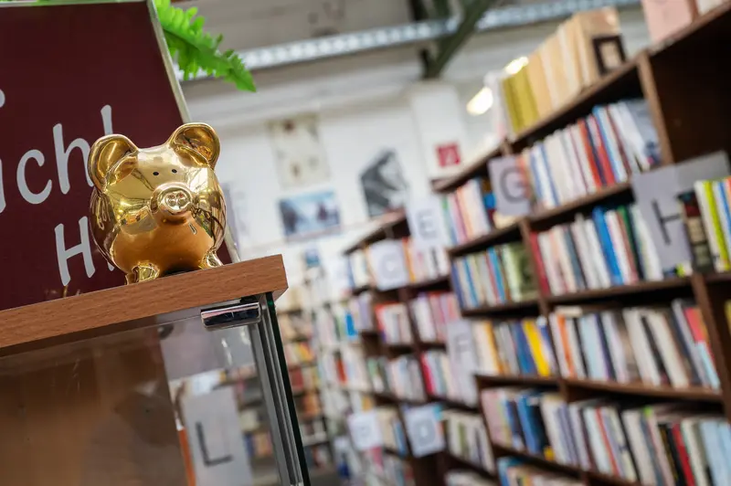 Golden Bear Statue in Bookstore with Colorful Bookshelves
