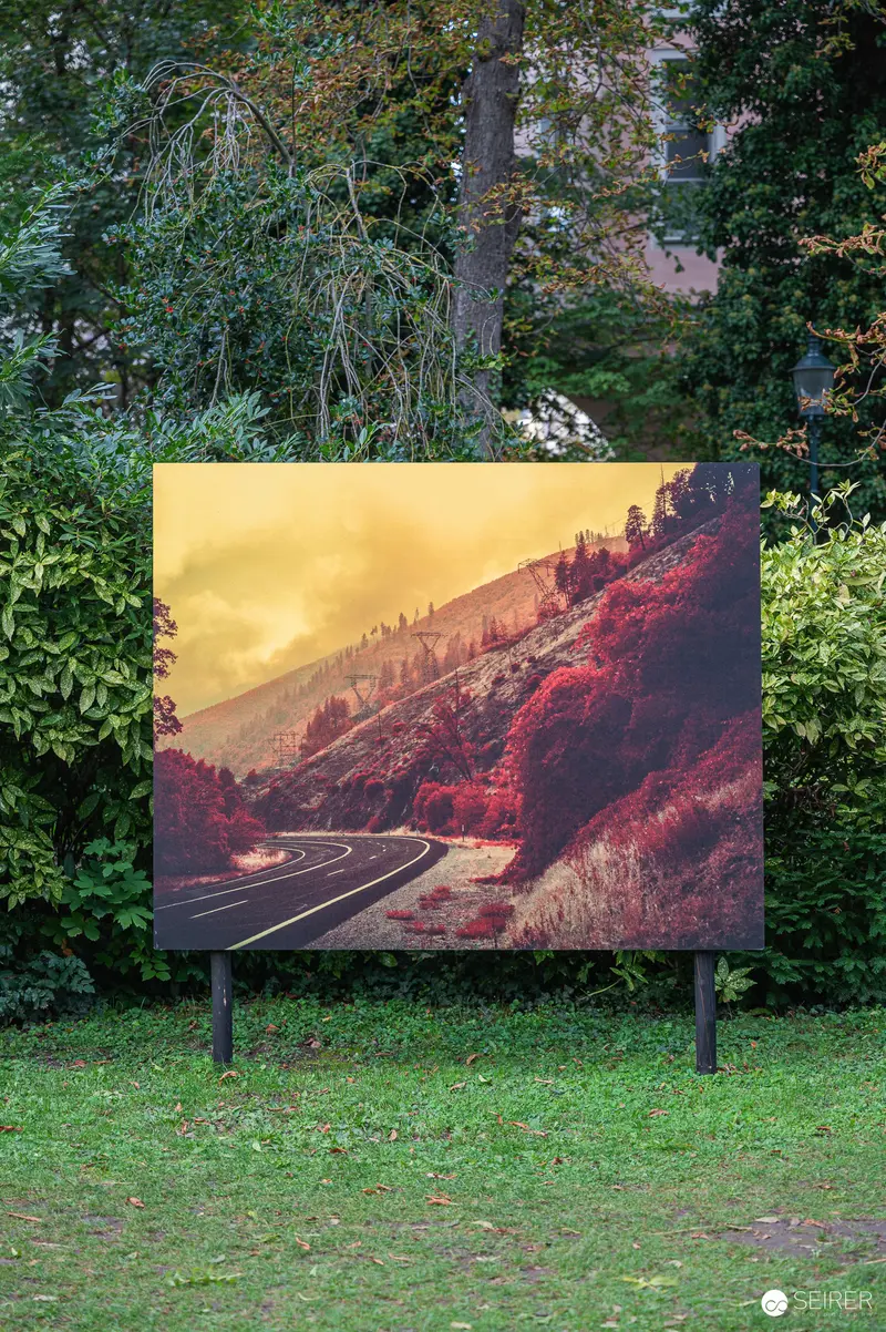 Scenic Mountain Road Landscape Painting Displayed in Lush Green Garden Setting