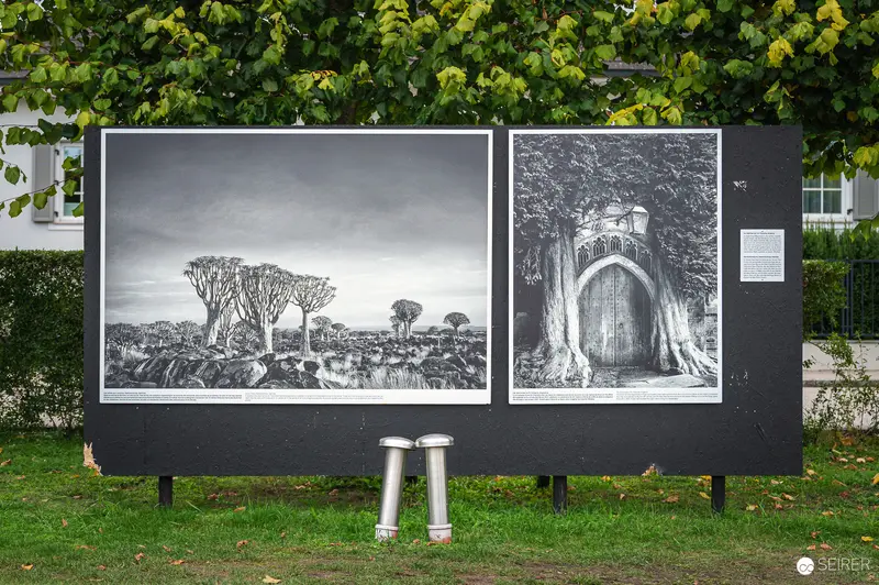 Black and White Photography Exhibition Displaying Landscape and Tree Images Outdoors