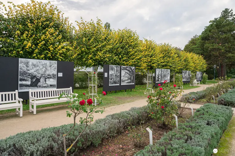 La Gacilly Baden Photo Exhibition: Outdoor Gallery with Black and White Landscape Prints