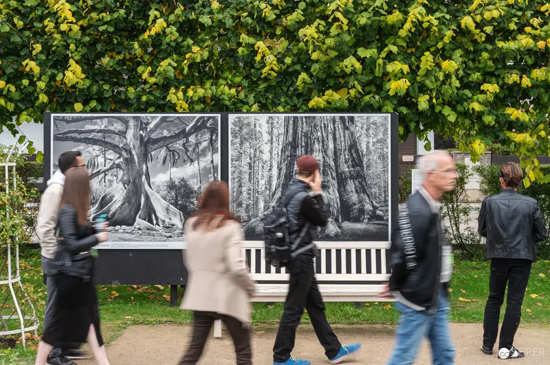 La Gacilly Baden Photo Exhibition: Visitors View Black and White Tree Landscapes