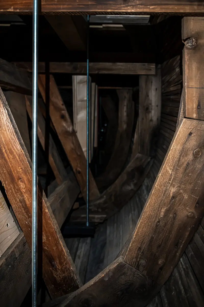 Structural Framework Supporting Maria Benke's Whale Sculpture at Wien Museum