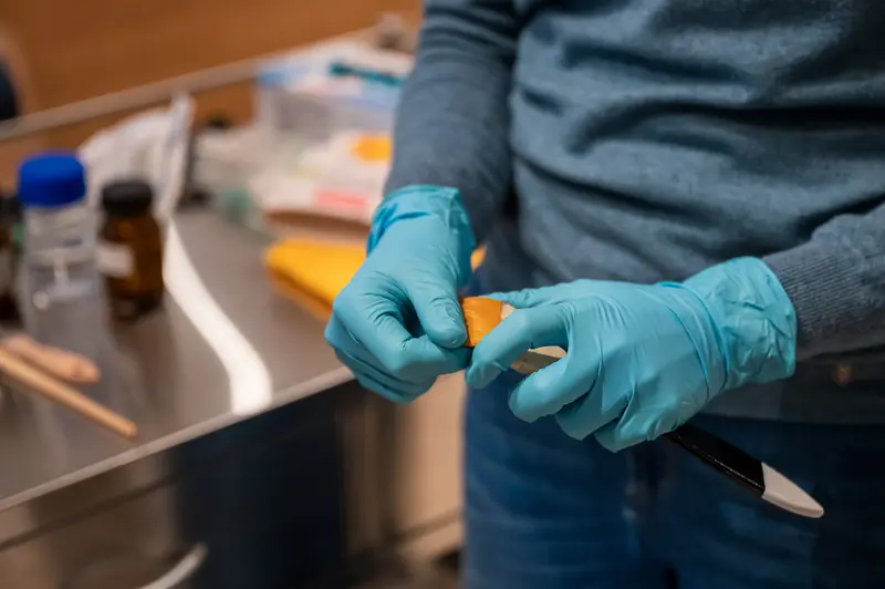 Conservation Hands-On Demonstration at Wien Museum's 2024 Restaurationstage