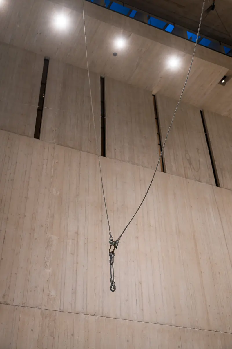 Industrial Rope Rigging System for Poldi Whale Sculpture Lowering, Wien Museum