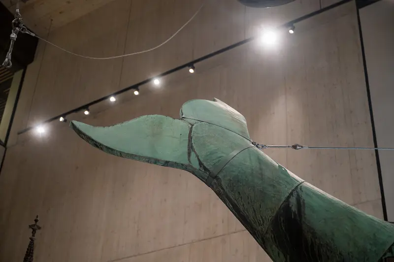 Poldi Whale Sculpture Suspended at Wien Museum During 2024 Conservation Program