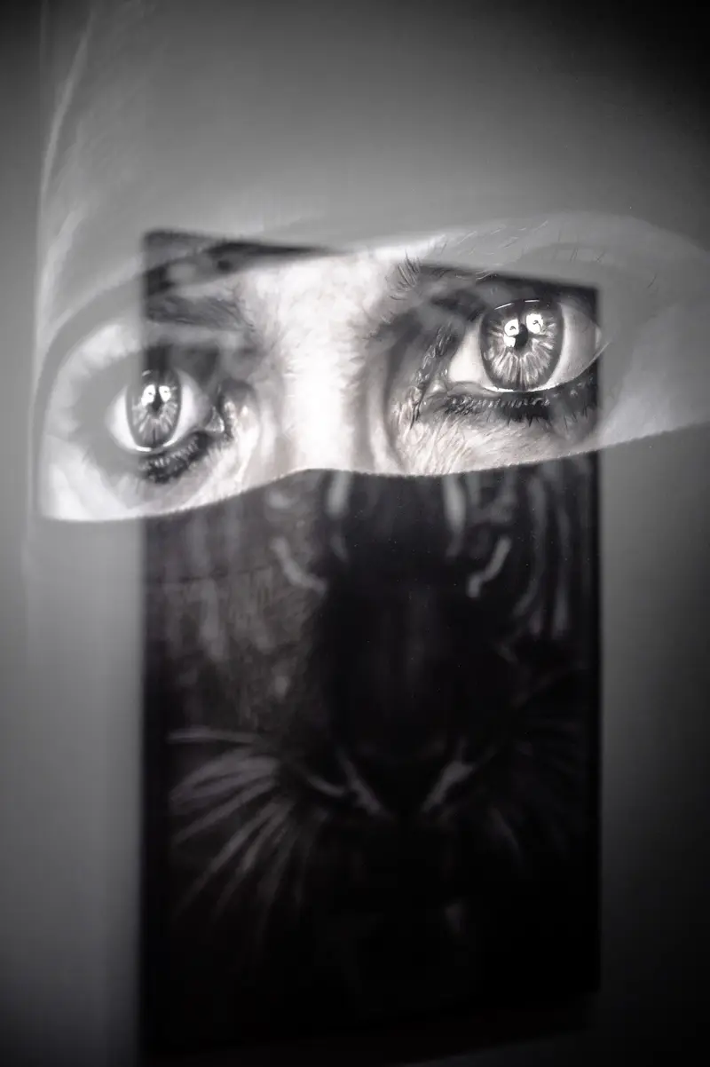Intense Monochrome Portrait of Dual Fragmented Eyes and Shadowy Figure