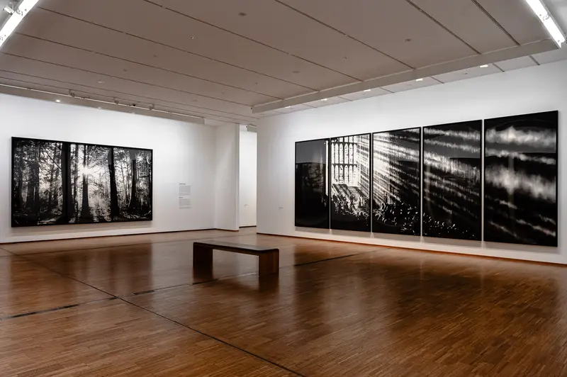 Robert Long Exhibition Views at Albertina Museum, Vienna - Black and White Landscapes