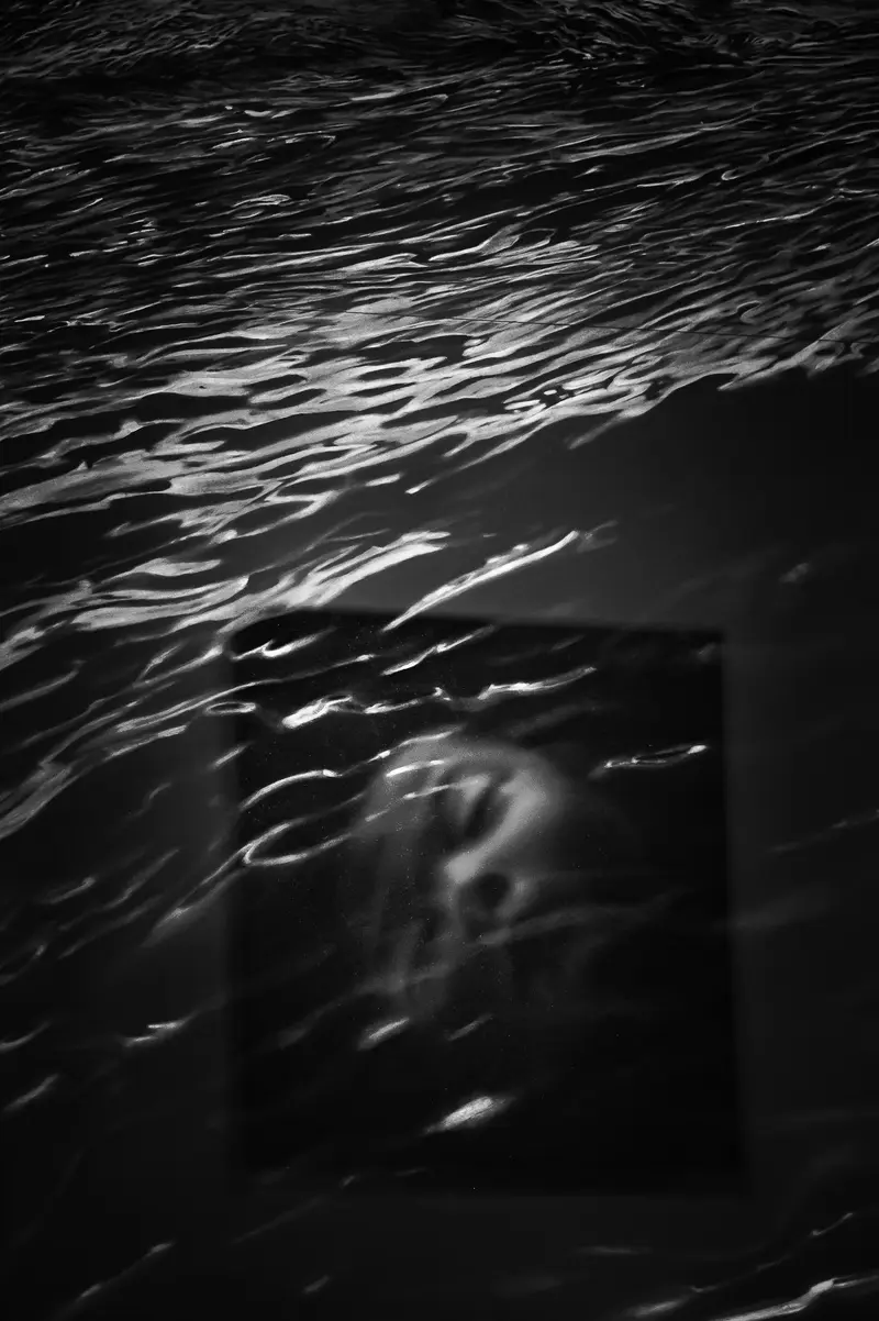 Water Surface Abstract with Distorted Dark Shape in Black and White