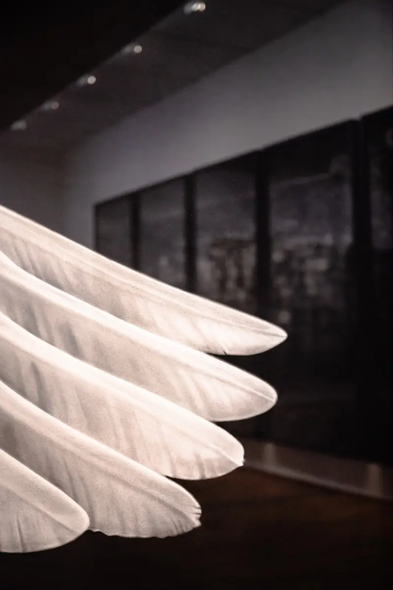 White Gloved Hands Preparing Gallery Display at Albertina Museum Exhibition