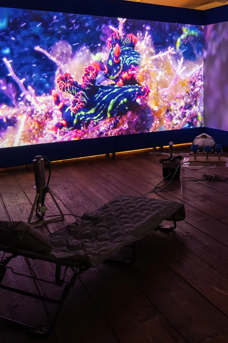 Psychedelic Digital Art Display on Large Screen in Dark Studio Space