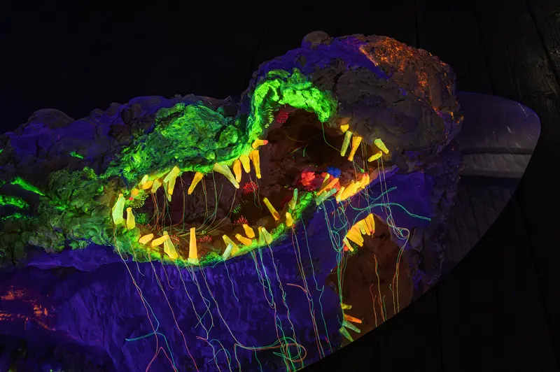 Fluorescent Crocodile Skull Glowing in Vibrant Green and Yellow Hues