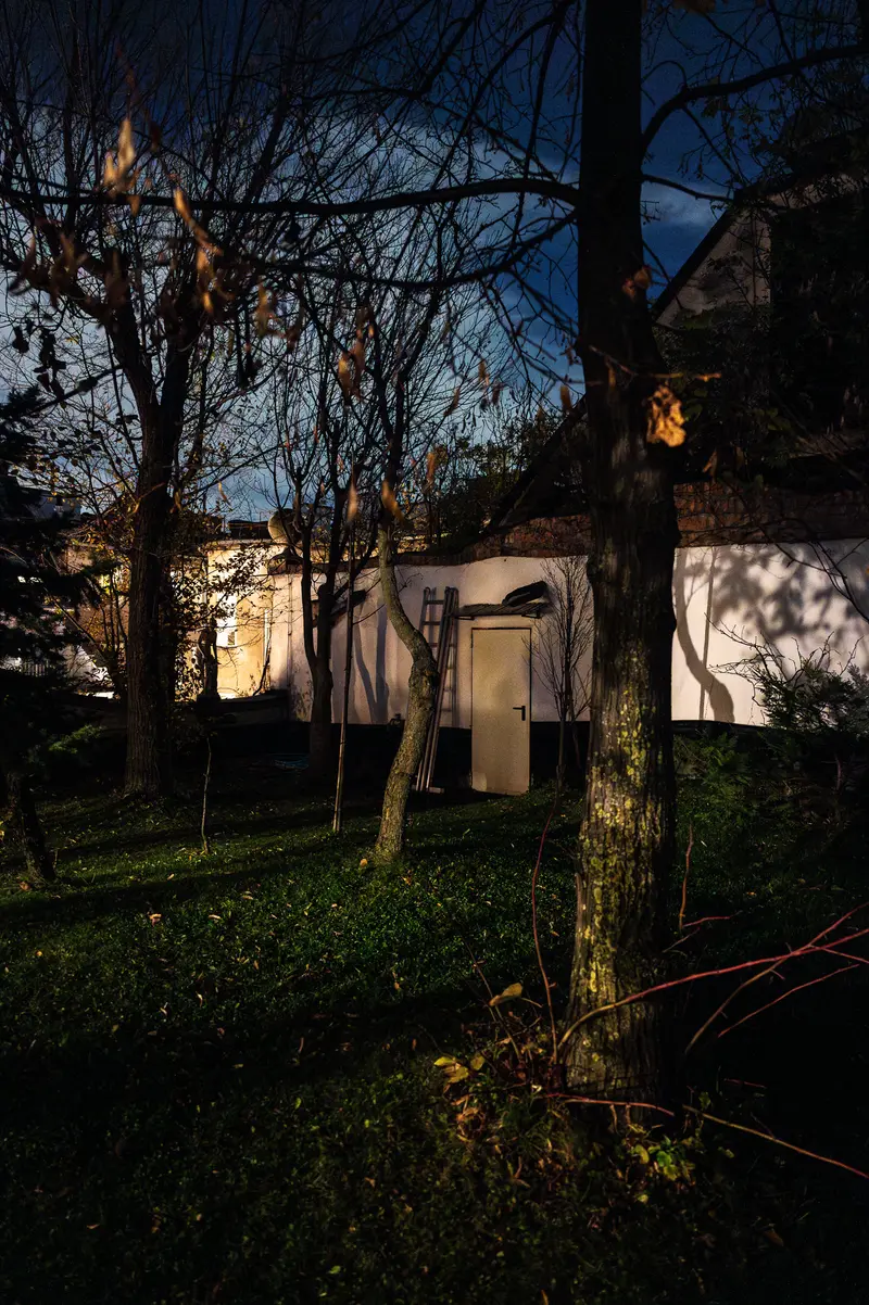 Night Scene with Illuminated White Structure Among Bare Trees and Dark Foliage