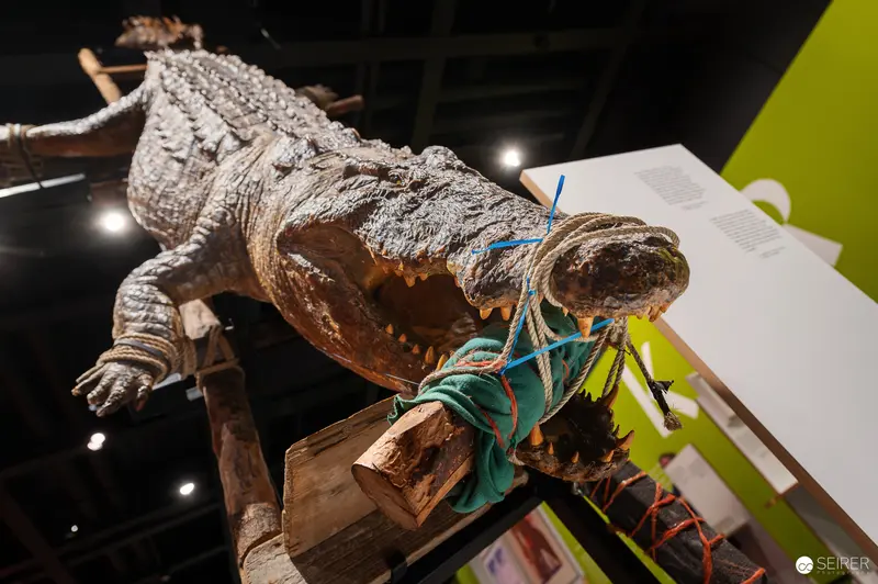 Wien Museum 'MIXED' Ausstellungseröffnung. Sculptural Crocodile Installation with Rope Detail at Wien Museum Mixed Exhibition