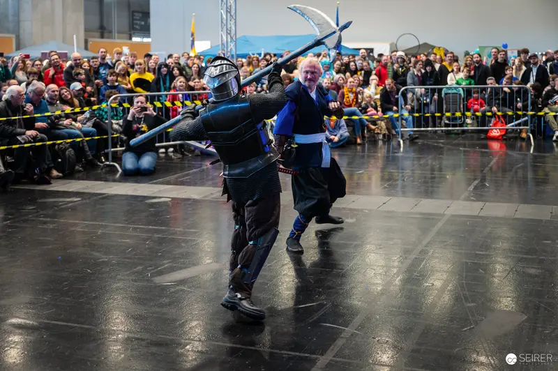 Medieval Combat Performance at Vienna ComicCon 2024 Sword Fighting Arena