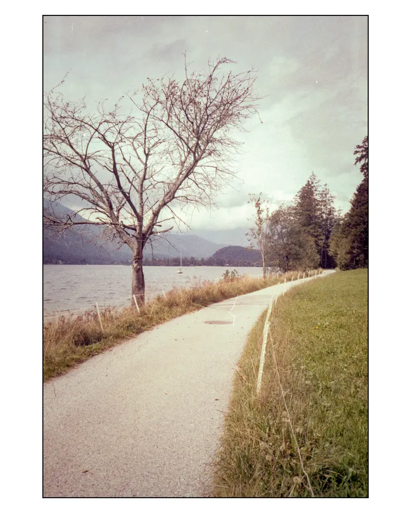 Lakeside cycling path and bare tree at Faaker See near Villach, Carinthia