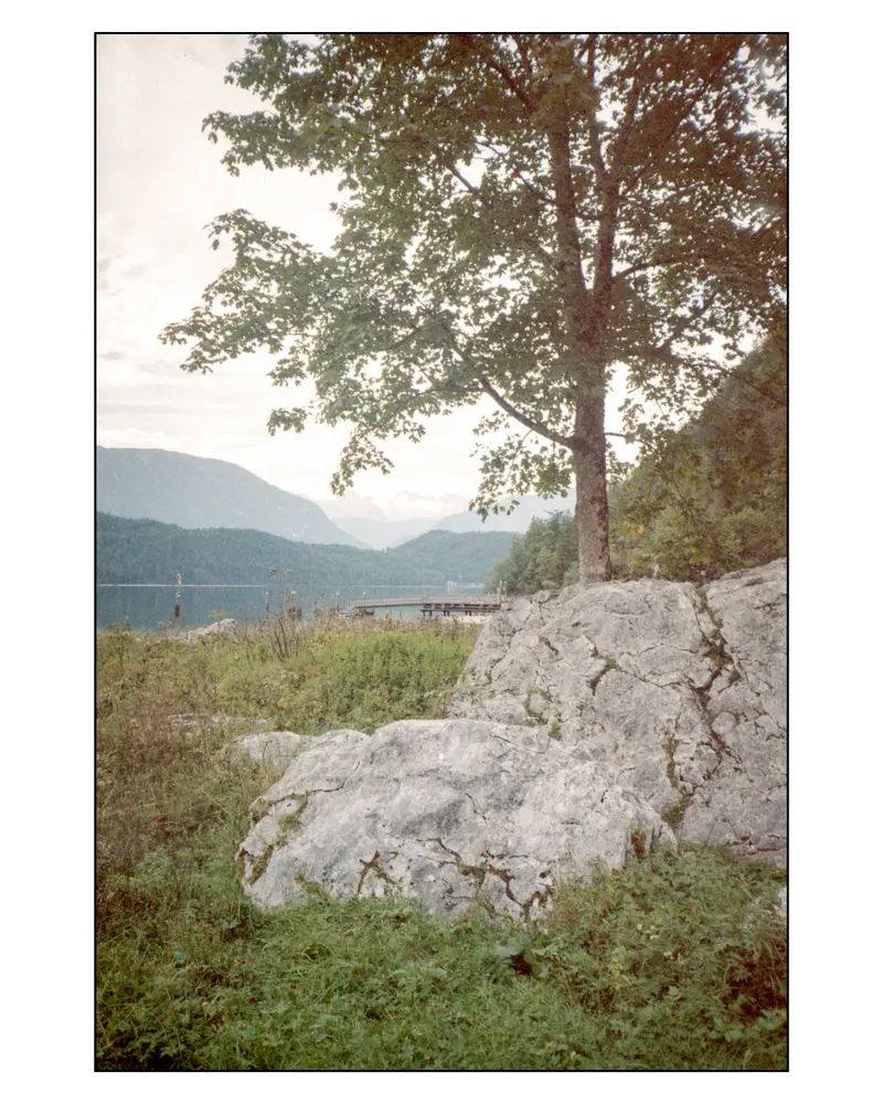 Limestone boulders and lakeside tree above Faaker See jetty, Villach, Carinthia