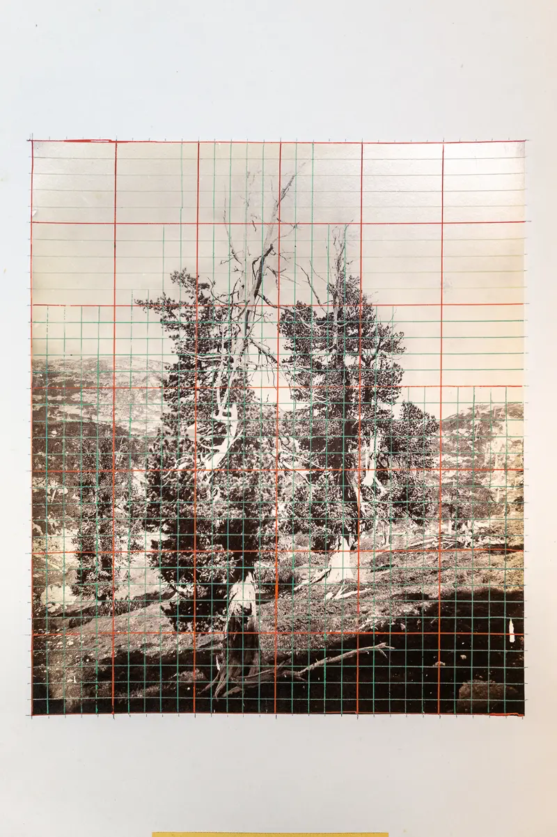 Fragmented Landscape with Grid Overlay at Natural History Museum Vienna Photo Archive