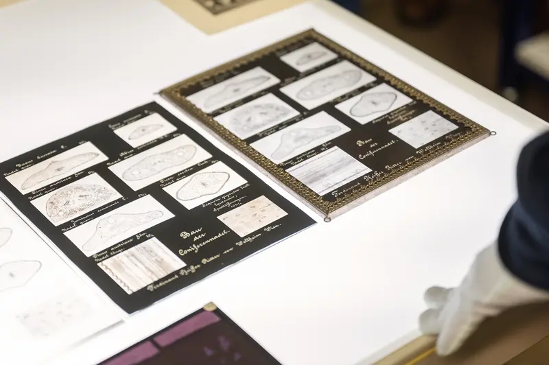 Archival Photo Catalog Sheets Displayed at Naturhistorisches Museum Wien