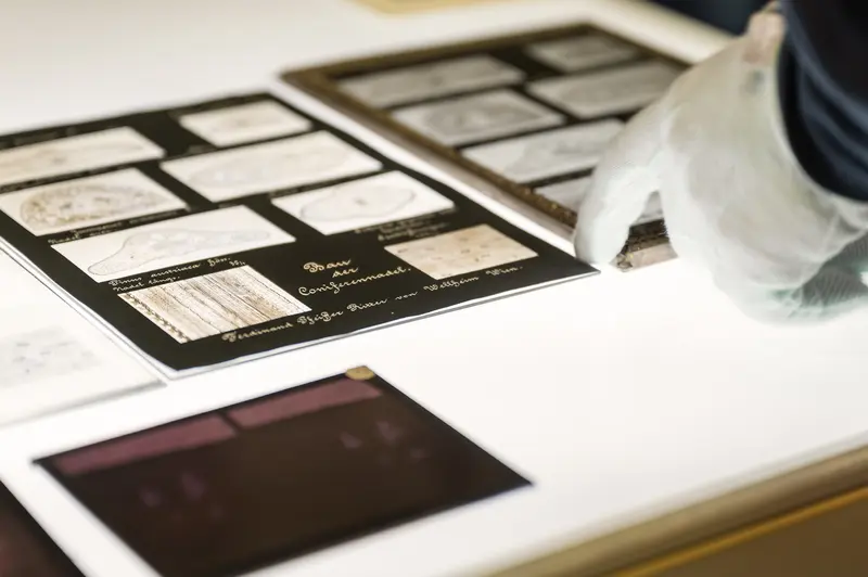 NHM Wien Archival Photograph Preservation with White Glove Technique
