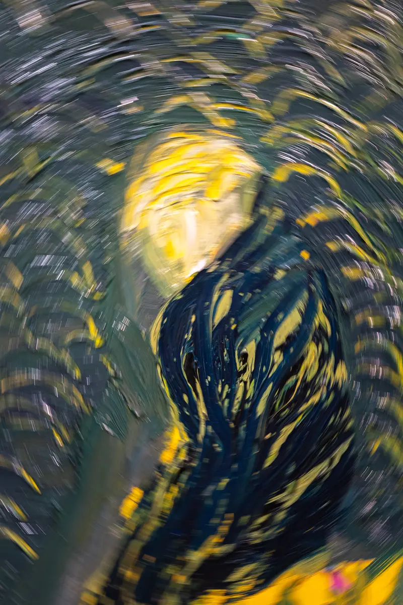 Blurred Motion Study from Van Gogh Exhibition at Albertina Museum