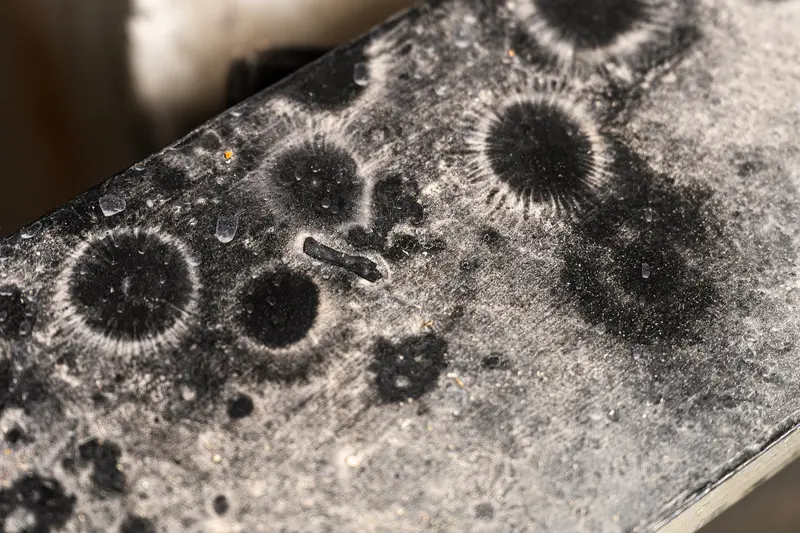 Intricate Frost or Mold Pattern on Textured Surface
