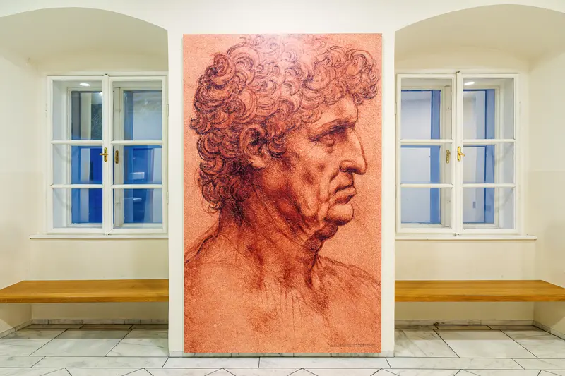 Leonardo da Vinci Portrait Display at Albertina Museum Vienna