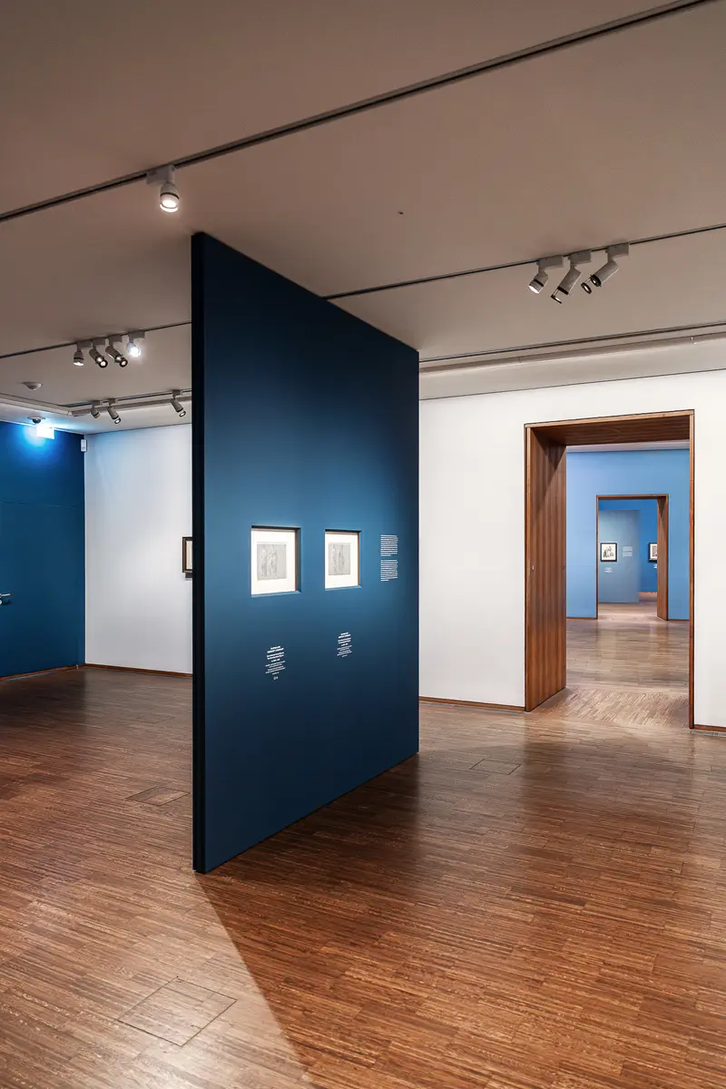 Leonardo Dürer Exhibition Space at Albertina Museum with Blue Partition Wall