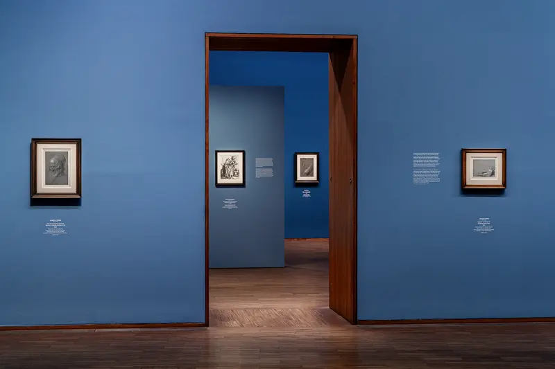 Leonardo Dürer Exhibition at Albertina Museum, Vienna Gallery Interior