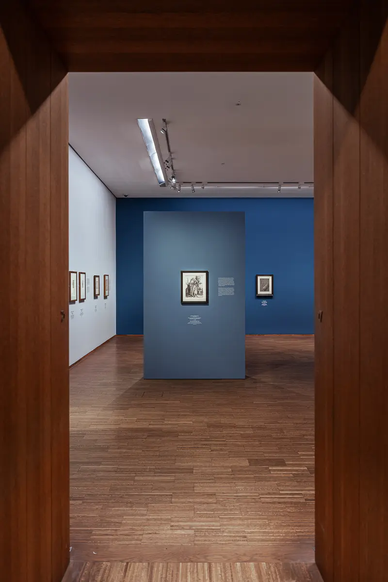 Leonardo Dürer Exhibition Interior at Albertina Vienna with Blue Gallery Wall