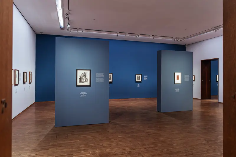 Leonardo Dürer Exhibition at Albertina Vienna, Contemporary Gallery View