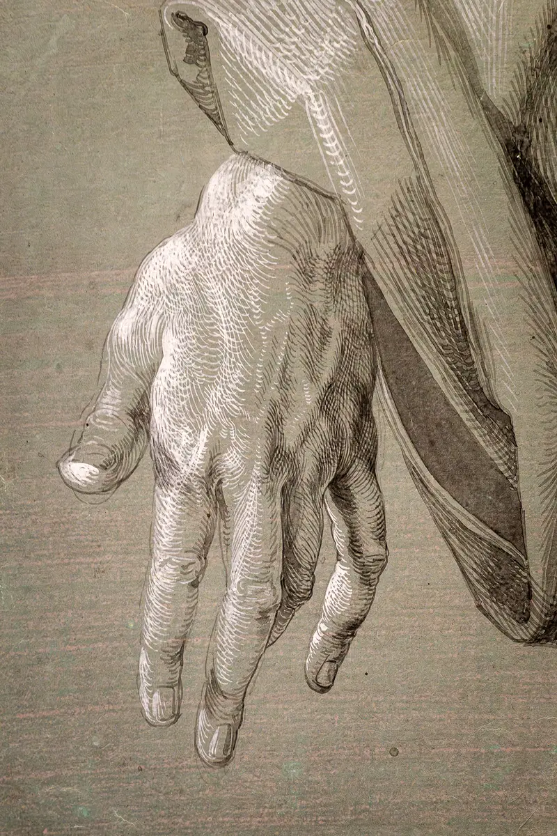 Detailed Graphite Study of Hanging Hand in Classical Drawing Style