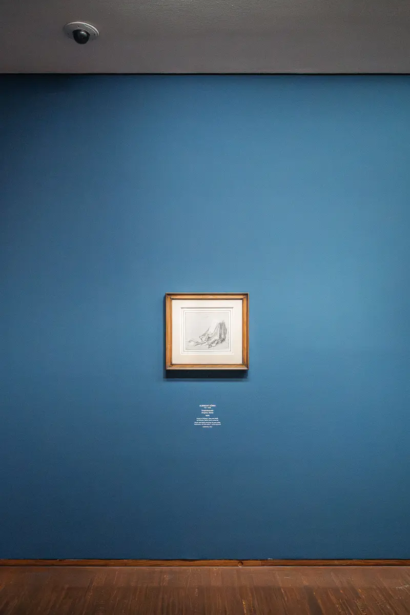 Leonardo Dürer Exhibition: Framed Artwork on Blue Wall at Albertina Vienna