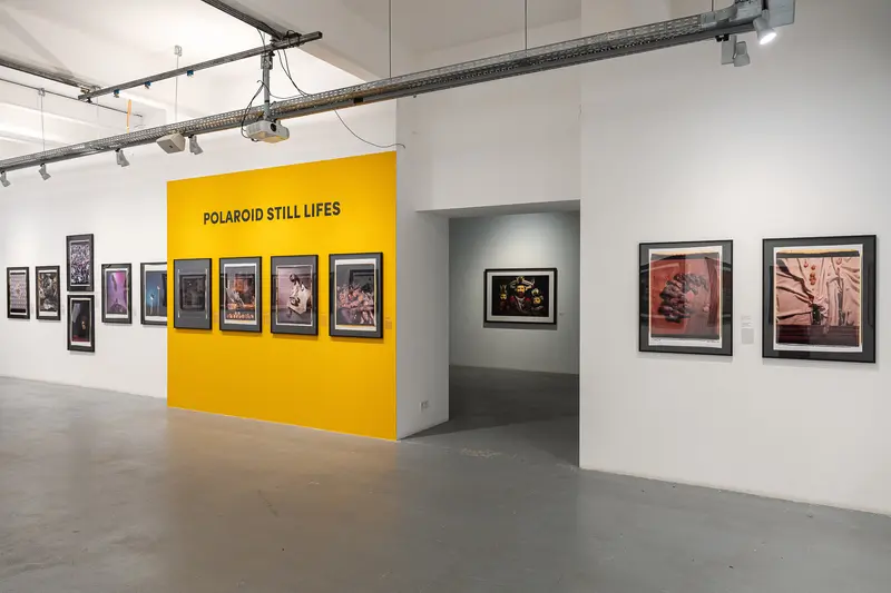 Polaroid Still Lifes Exhibition: Yellow Gallery Wall with Framed Photography