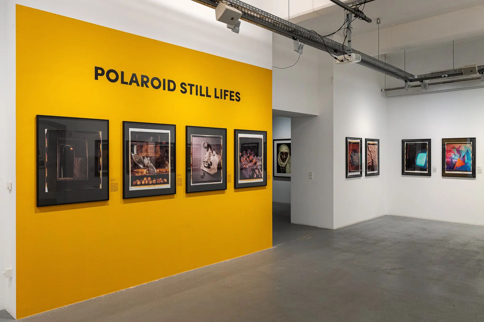 Polaroid Still Life Exhibition: Curated Vintage Instant Photography Display