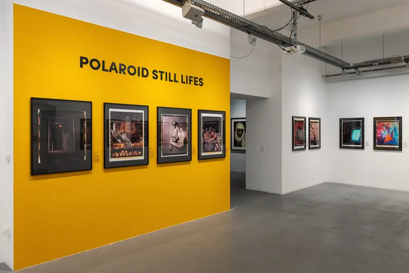Polaroid Still Lifes at Ostlicht Gallery, Vienna, March 2025