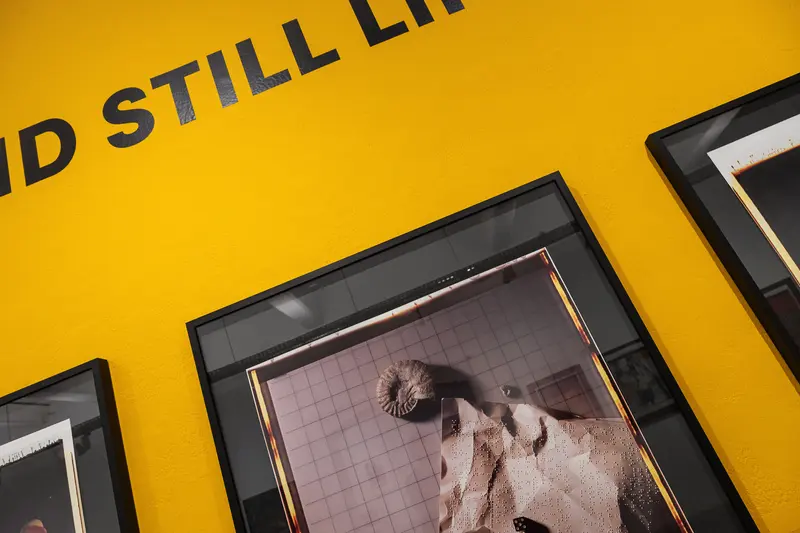 Sculptural Architectural Fragment on Yellow Background with Framed Display
