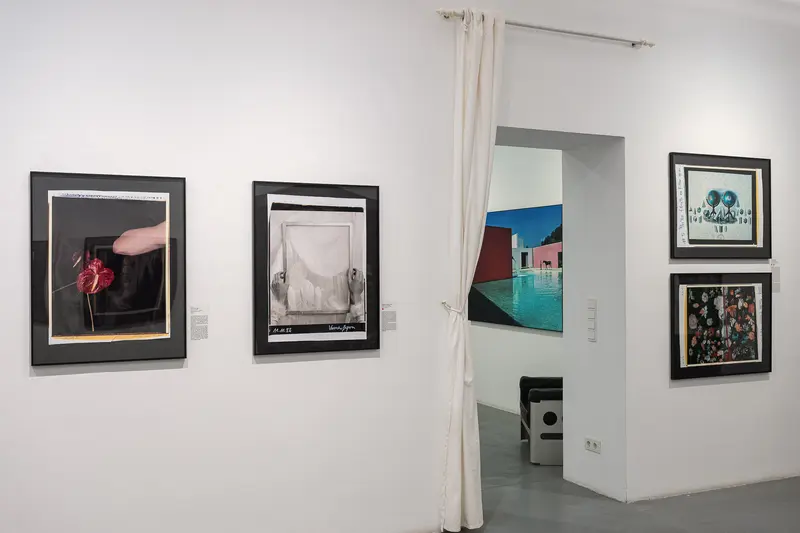 Contemporary Art Gallery Exhibition with Diverse Framed Photographic Artworks