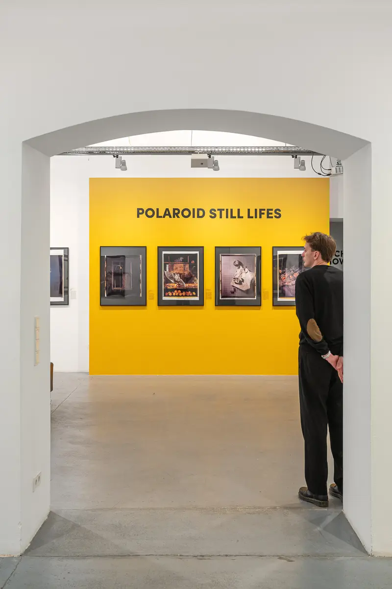Visitor Observing Polaroid Still Life Photography Exhibition in White Gallery Space